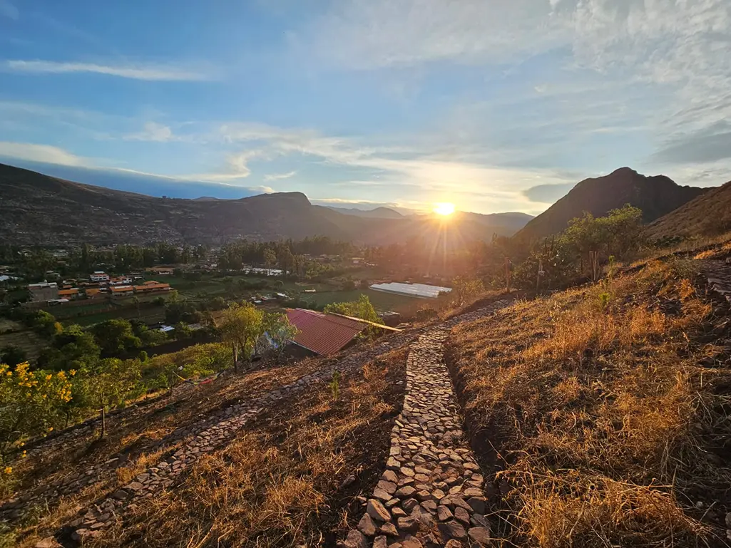 Ayahuasca 5 Days Holistic Retreat